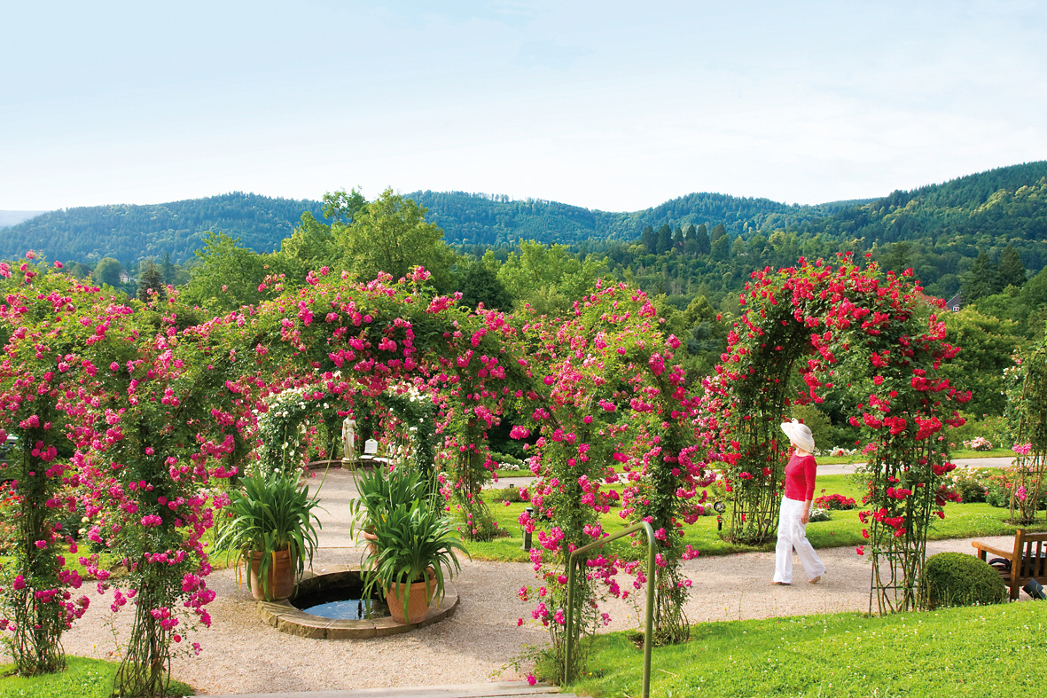 5-baden-baden_rosengarten_09
