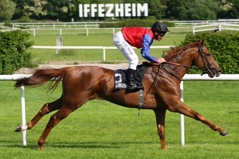 baden-baden_galopprennen_30